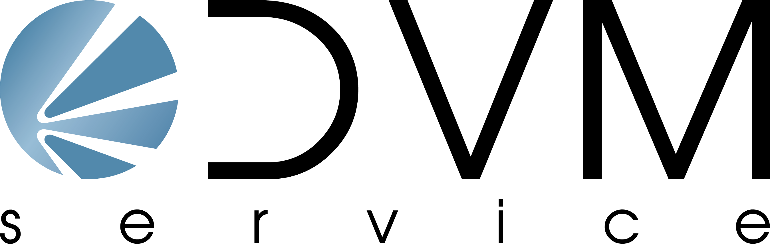 DVM Service S.r.l. Logo